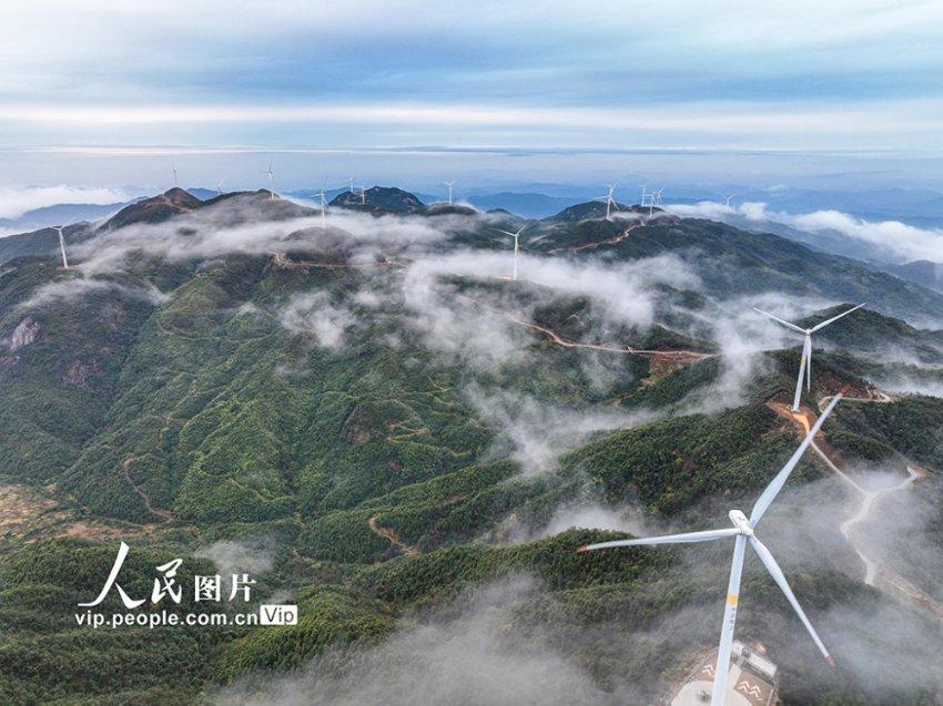 解答尽在榴莲的味道你喜欢嘛[捂脸]？，一站式有问必答平台